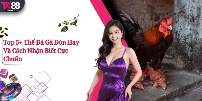 Top 5+ Thế Đá Gà Đòn Hay Và Cách Nhận Biết Cực Chuẩn 